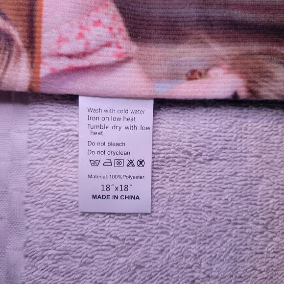 Taylor Swift Throw 18" by 18" Pillow Case Covers Set of 2 NWT - Picture 3 of 5